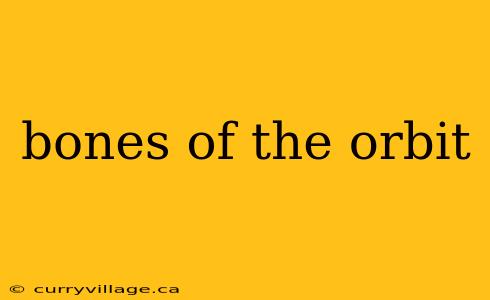 bones of the orbit
