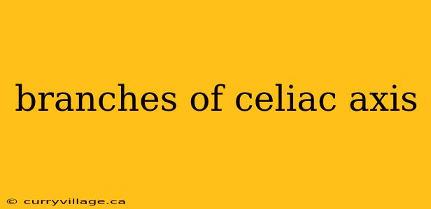 branches of celiac axis