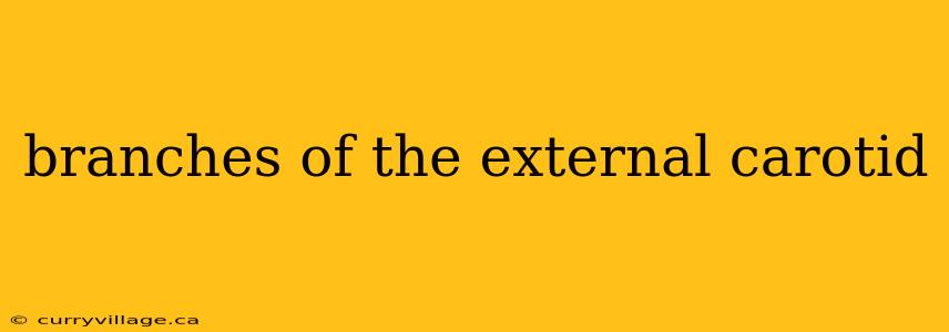 branches of the external carotid