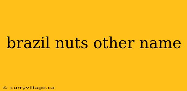 brazil nuts other name