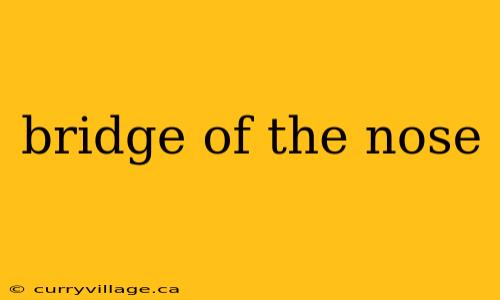 bridge of the nose