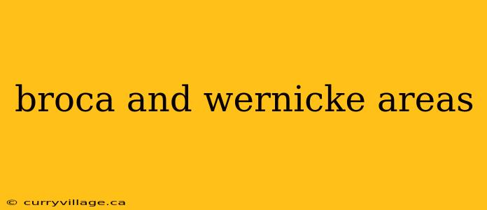 broca and wernicke areas