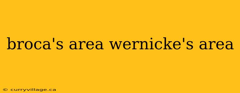 broca's area wernicke's area