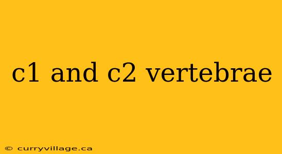 c1 and c2 vertebrae