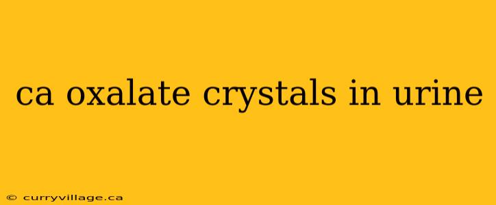 ca oxalate crystals in urine
