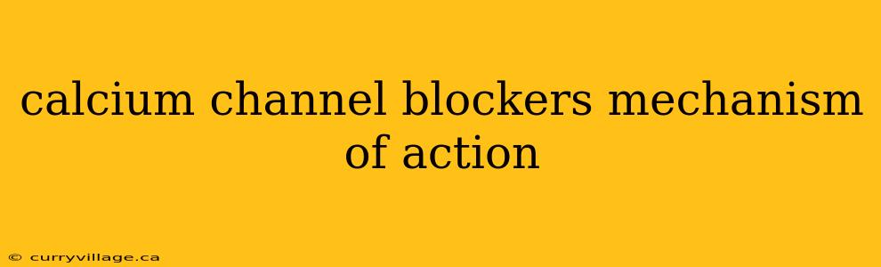 calcium channel blockers mechanism of action