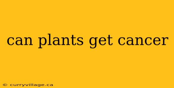 can plants get cancer
