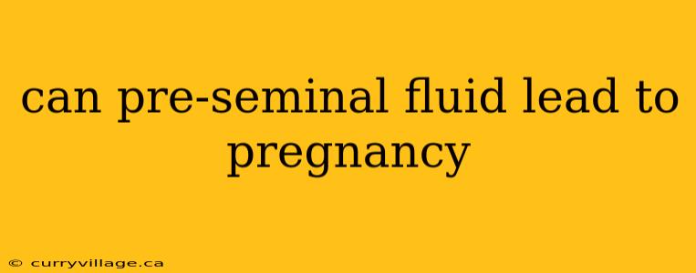 can pre-seminal fluid lead to pregnancy