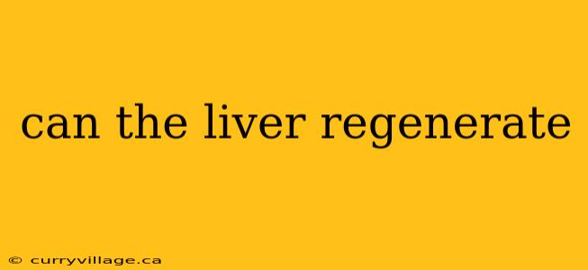 can the liver regenerate