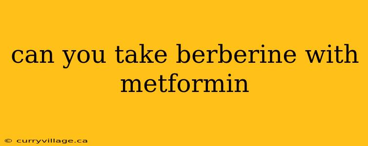 can you take berberine with metformin