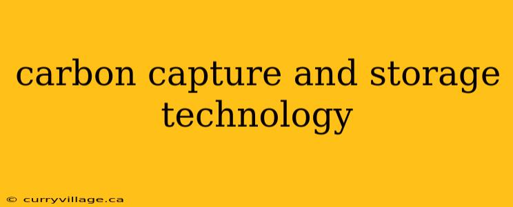 carbon capture and storage technology