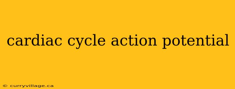 cardiac cycle action potential