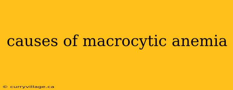 causes of macrocytic anemia