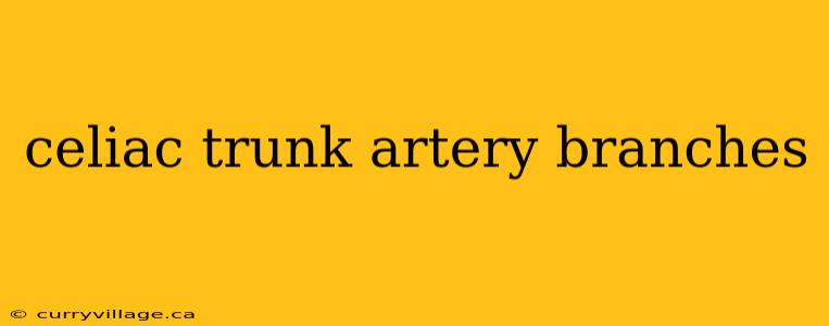 celiac trunk artery branches