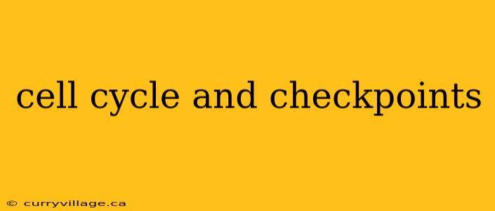 cell cycle and checkpoints