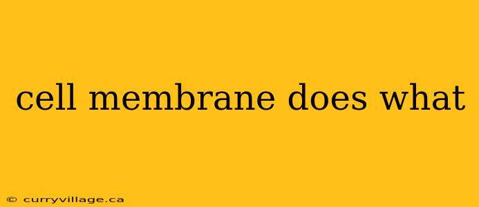 cell membrane does what