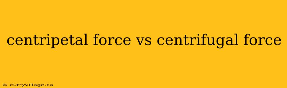 centripetal force vs centrifugal force