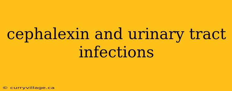cephalexin and urinary tract infections