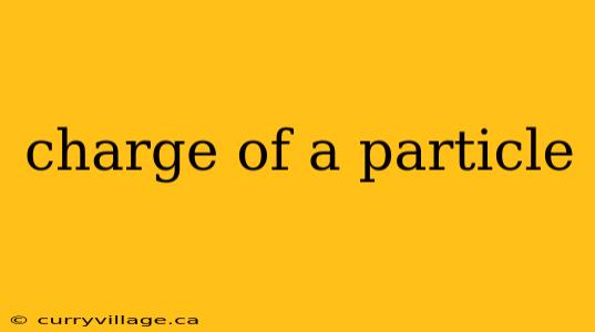 charge of a particle
