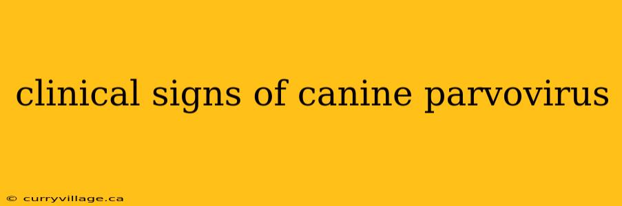 clinical signs of canine parvovirus