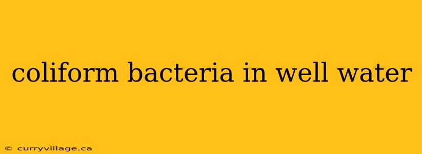 coliform bacteria in well water