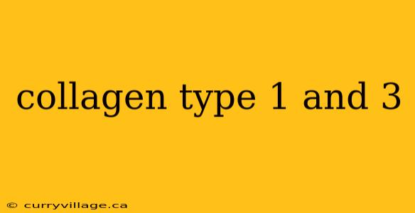 collagen type 1 and 3