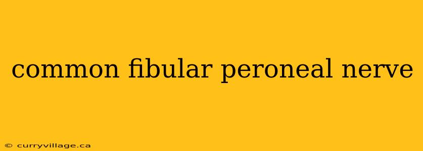 common fibular peroneal nerve