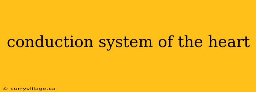 conduction system of the heart