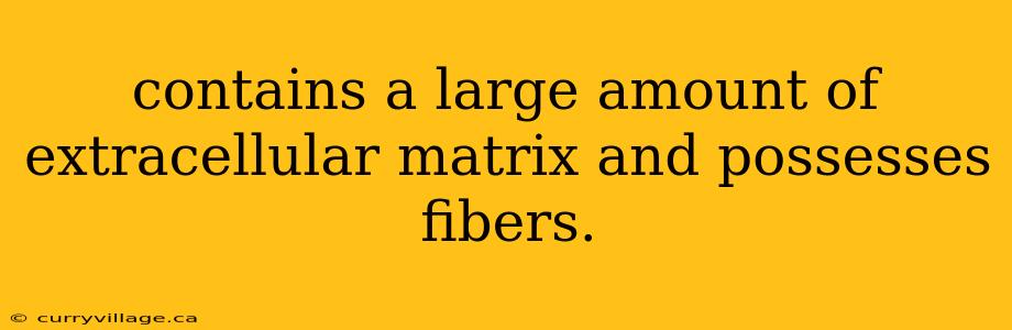 contains a large amount of extracellular matrix and possesses fibers.