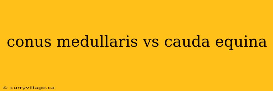 conus medullaris vs cauda equina