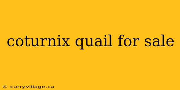 coturnix quail for sale