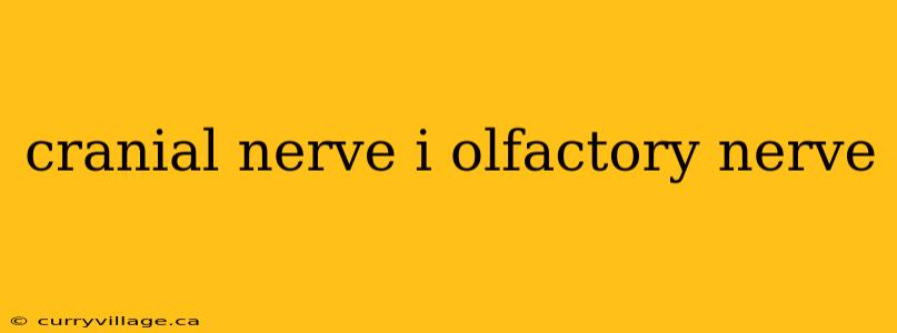 cranial nerve i olfactory nerve