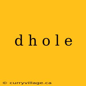 d h o l e