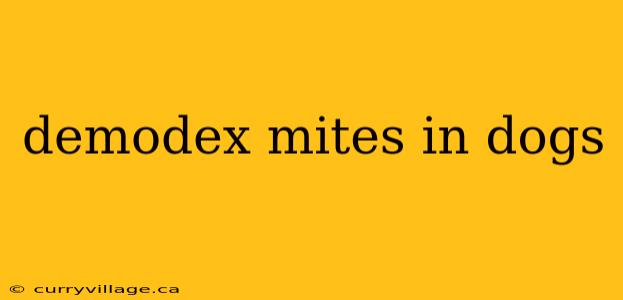 demodex mites in dogs