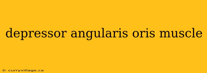 depressor angularis oris muscle