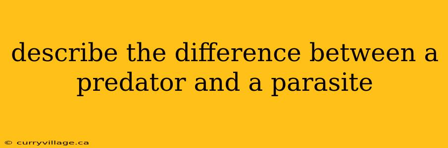 describe the difference between a predator and a parasite