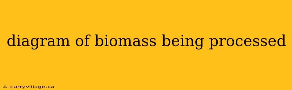 diagram of biomass being processed