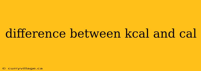 difference between kcal and cal
