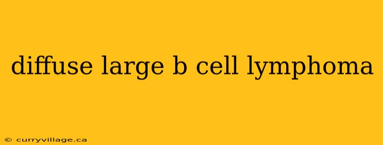 diffuse large b cell lymphoma