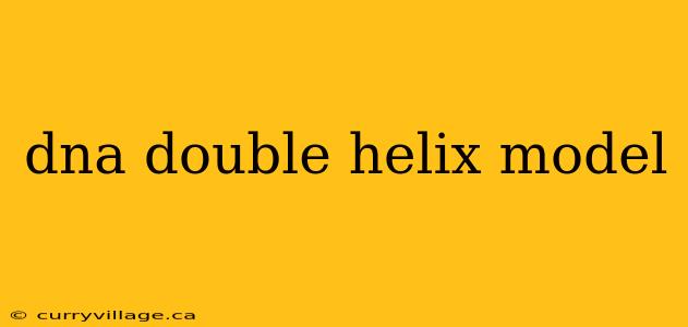 dna double helix model