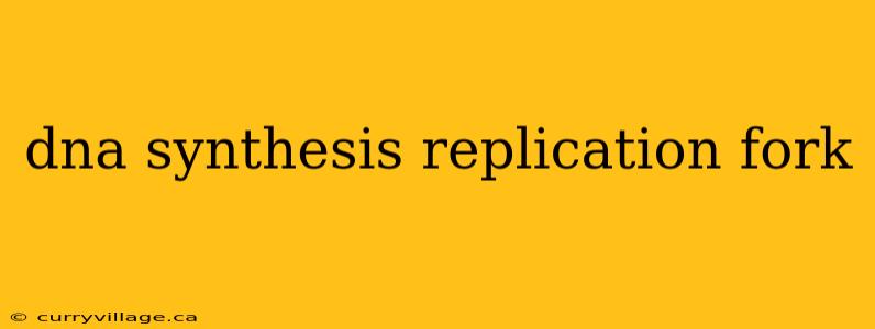 dna synthesis replication fork