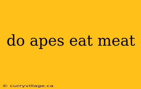 do apes eat meat