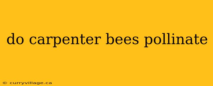do carpenter bees pollinate
