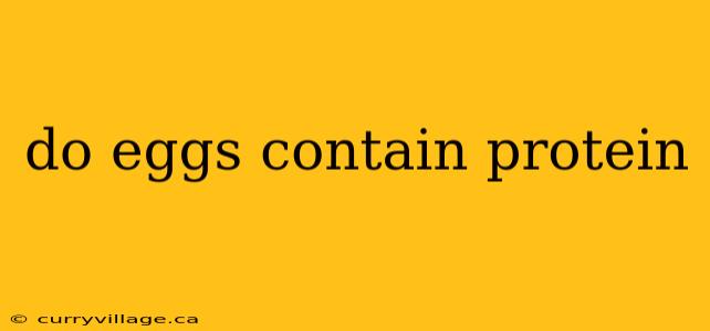 do eggs contain protein