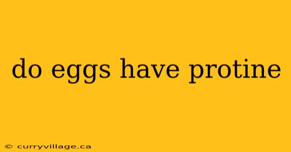 do eggs have protine