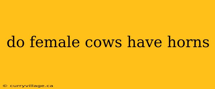 do female cows have horns