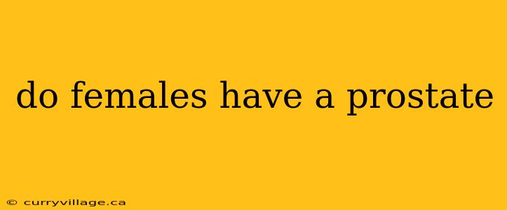 do females have a prostate