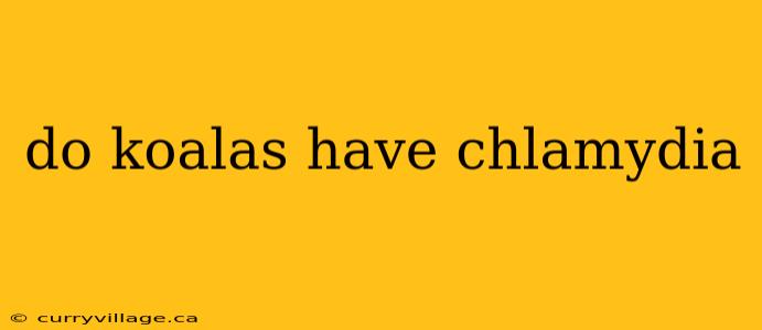 do koalas have chlamydia