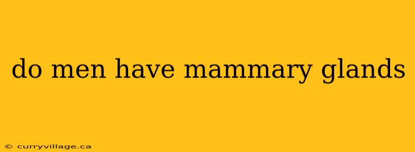 do men have mammary glands