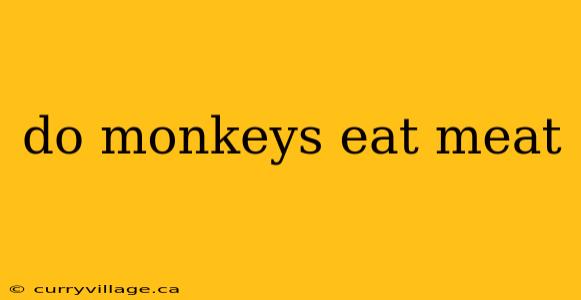 do monkeys eat meat